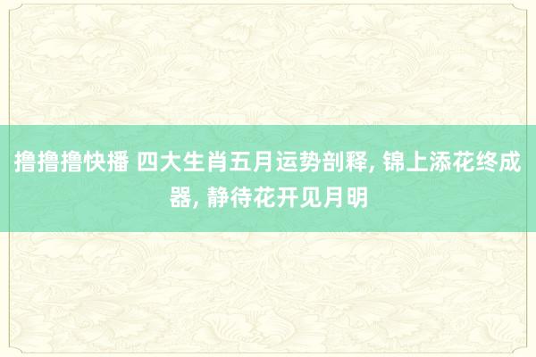 撸撸撸快播 四大生肖五月运势剖释， 锦上添花终成器， 静待花开见月明