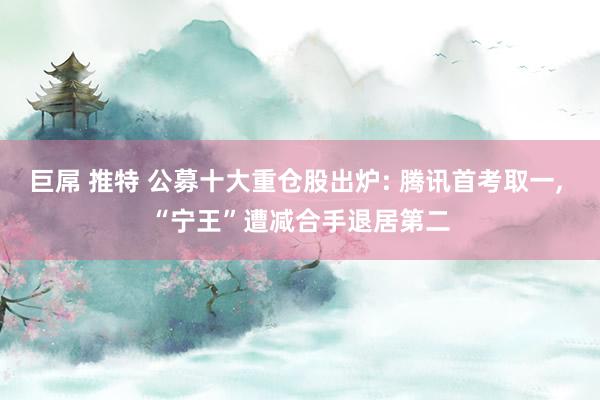 巨屌 推特 公募十大重仓股出炉: 腾讯首考取一， “宁王”遭减合手退居第二