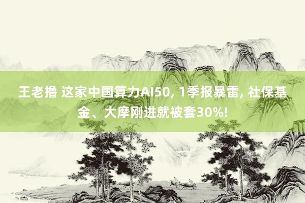 王老撸 这家中国算力AI50， 1季报暴雷， 社保基金、大摩刚进就被套30%!