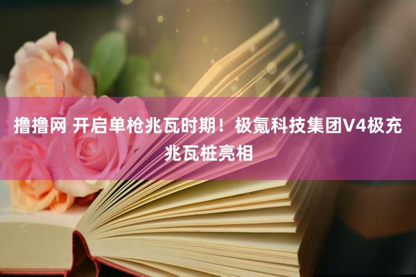 撸撸网 开启单枪兆瓦时期！极氪科技集团V4极充兆瓦桩亮相