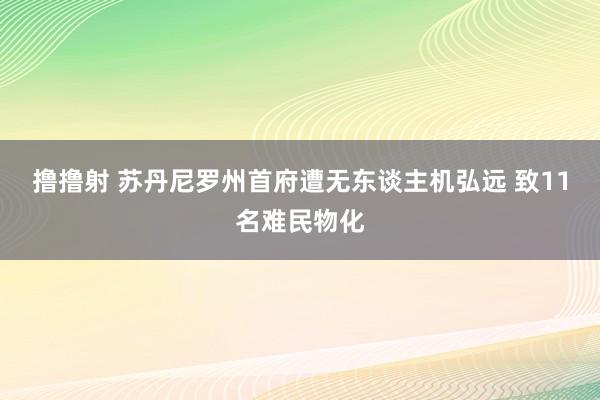 撸撸射 苏丹尼罗州首府遭无东谈主机弘远 致11名难民物化