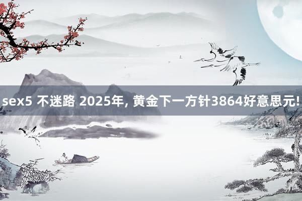 sex5 不迷路 2025年， 黄金下一方针3864好意思元!