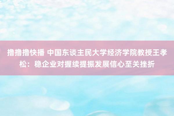 撸撸撸快播 中国东谈主民大学经济学院教授王孝松：稳企业对握续提振发展信心至关挫折