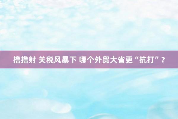 撸撸射 关税风暴下 哪个外贸大省更“抗打”？