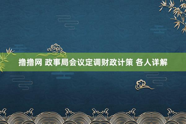 撸撸网 政事局会议定调财政计策 各人详解