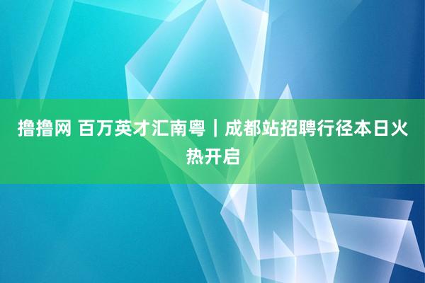 撸撸网 百万英才汇南粤｜成都站招聘行径本日火热开启