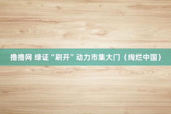 撸撸网 绿证“刷开”动力市集大门（绚烂中国）