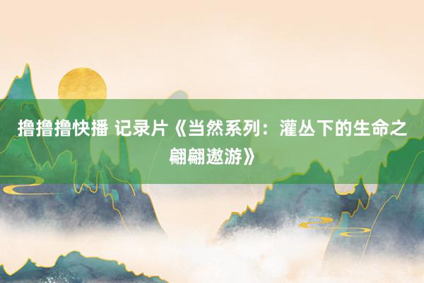 撸撸撸快播 记录片《当然系列：灌丛下的生命之翩翩遨游》