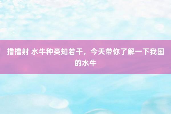 撸撸射 水牛种类知若干，今天带你了解一下我国的水牛