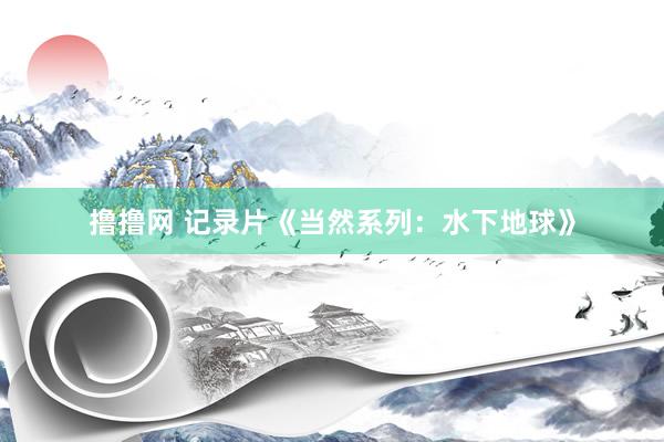 撸撸网 记录片《当然系列：水下地球》